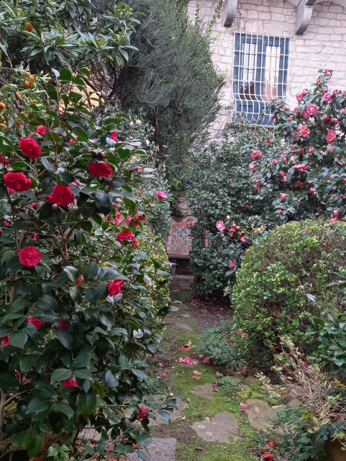 Villa L'Antica Dimora Meta Esterno foto