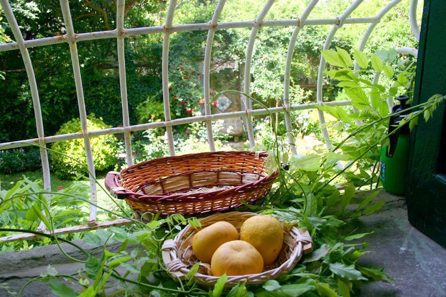 Villa L'Antica Dimora Meta Esterno foto