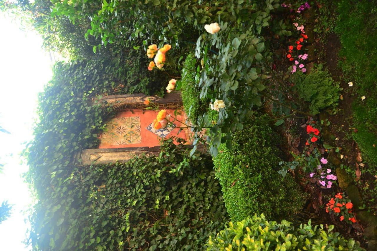 Villa L'Antica Dimora Meta Esterno foto